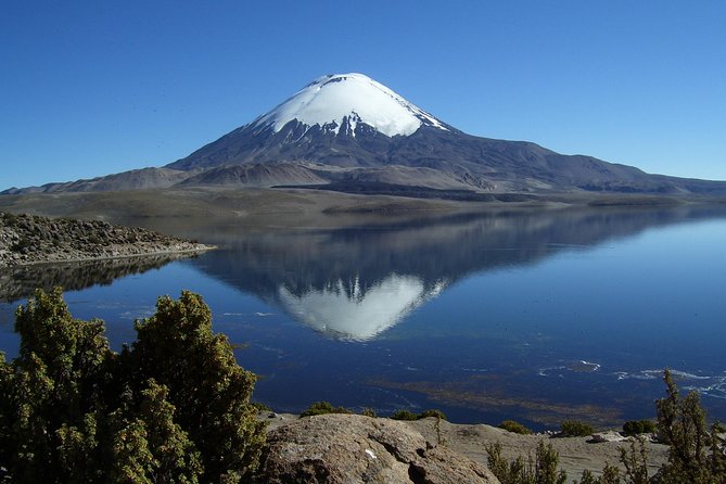 Arica: Full day to Lauca National Park and Chungara Lake, meals included - From Arica to the Lluta Valley