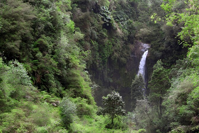 Around Llanquihue Lake Private Puerto Varas or Puerto Montt - Private transportation and the value of a full day