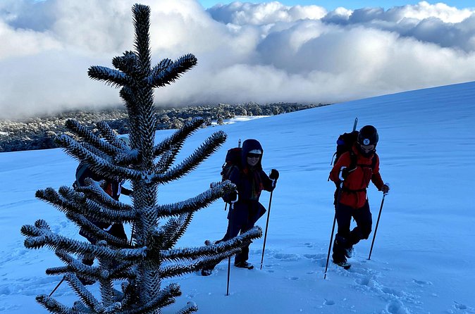 Ascent of the Llaima Volcano - How to prepare without overcomplicating it