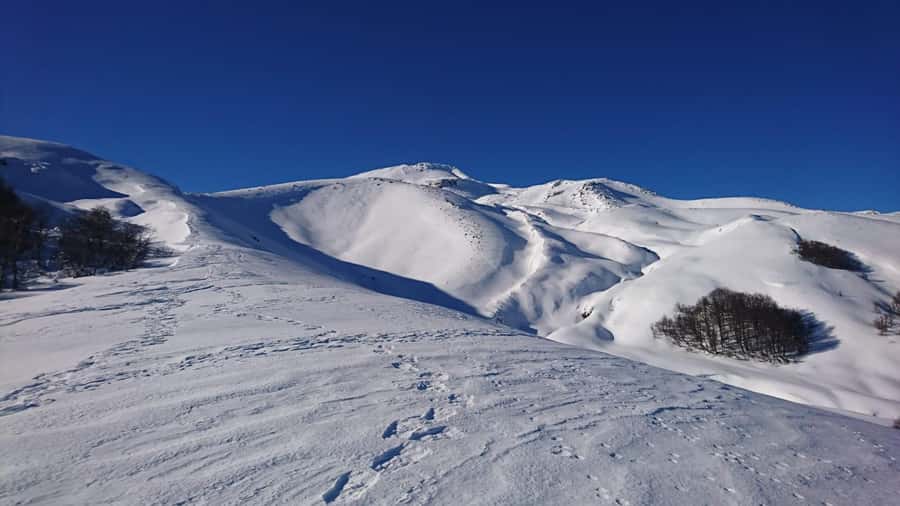 Ascent to Quetrupillán volcano 2370masl, from Pucón - Why Quetrupillán deserves a day from Pucón