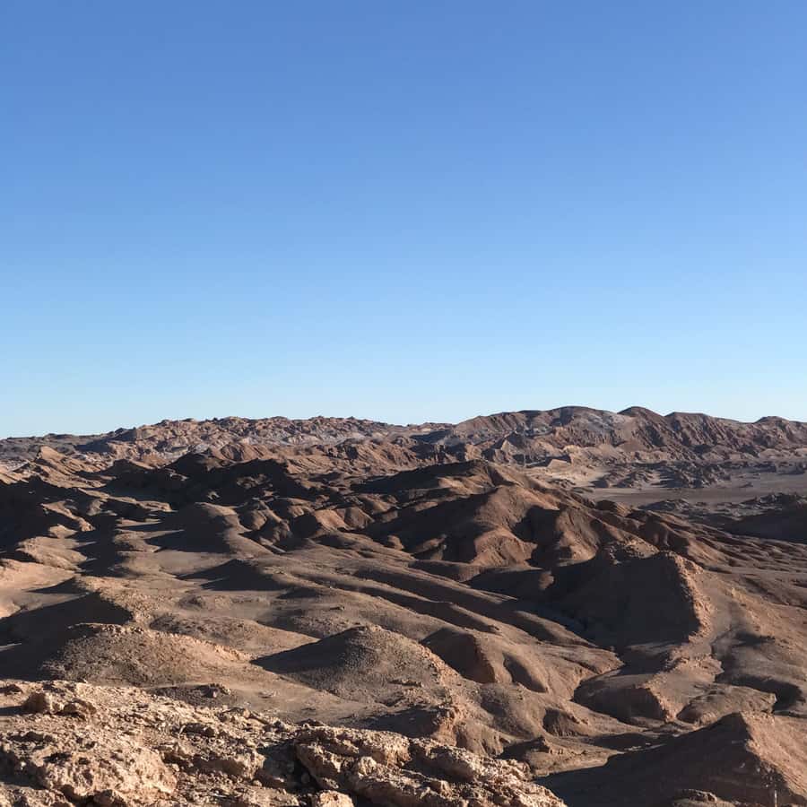 Atacama Desert and Magic Bus Visit - Guide quality and language