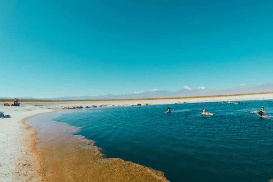 Atacama Desert: Floatation in Laguna Cejar and Sunset - Ojos del Salar offers a quieter desert pause