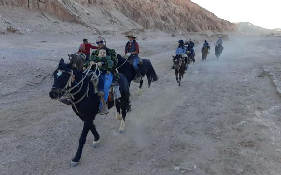Atacama Desert: Horseback Adventure with Scenic Views - Who should book this ride?