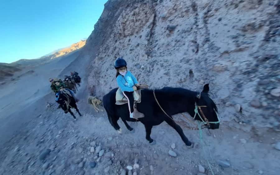 Atacama Desert: Horseback Adventure with Scenic Views - Dinosaur Valley and the footprints of the past