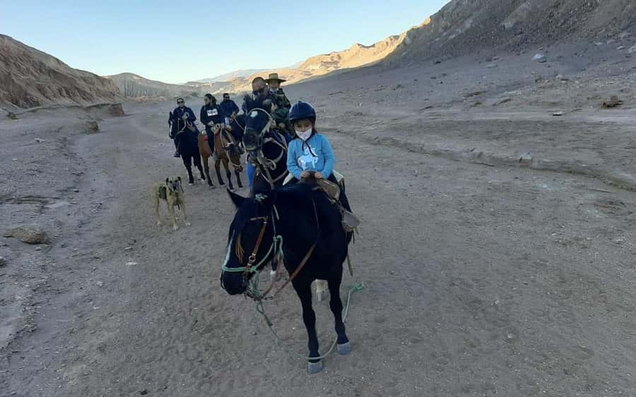 Atacama Desert: Horseback Adventure with Scenic Views - Chulacao Ravine, the tour’s strongest scenic section