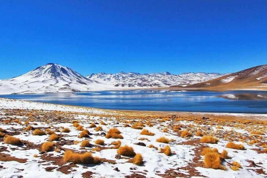 Atacama: Piedras Rojas, Socaire, and Altiplanic Lagoons Tour - Key points to know before booking