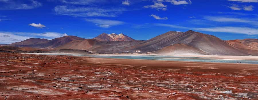 Atacama: Piedras Rojas, Socaire, and Altiplanic Lagoons Tour - Why this Atacama day tour works