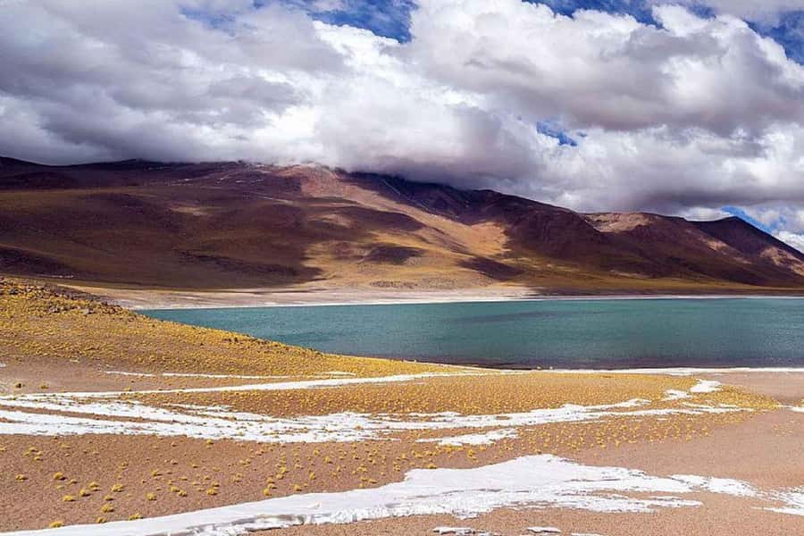 Atacama: Piedras Rojas, Socaire, and Altiplanic Lagoons Tour - Miscanti and Miñiques Lagoons at 4,200 meters