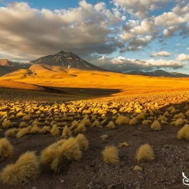 Atacama, Rutas de Los Salares - Preparing for 4,000 to 4,800 meters