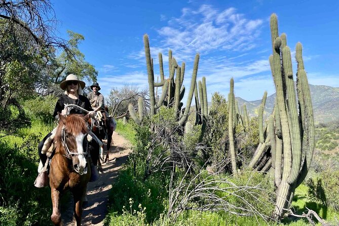 Authentic Andes Adventure: Private Horse Riding and Cheese & Wine - Who will enjoy this outing most?
