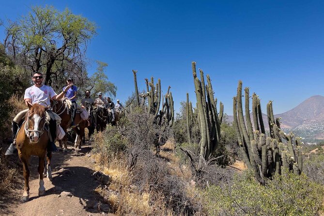 Authentic Andes Adventure: Private Horse Riding and Cheese & Wine - Two hours through native mountain country