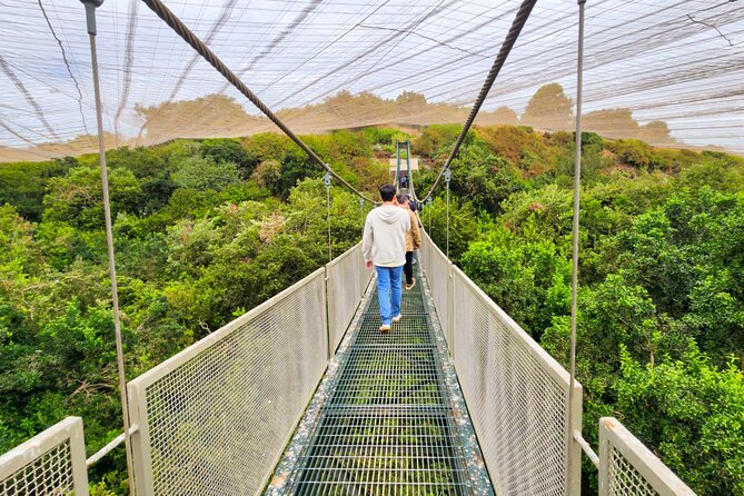 Aviary Tour and Tricao Park with Tasting in Undurraga Vineyard - Key points to know before booking