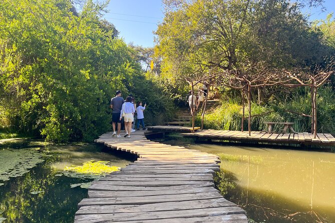 Aviary Tour and Tricao Park with Tasting in Undurraga Vineyard - The Giverny wetland and a scenic brunch