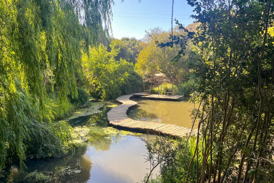 Aviary & Tricao Park Tour with Undurraga Wine Tasting - Humedal Giverny, where gardens meet wetland