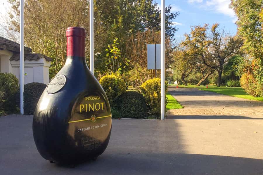 Aviary & Tricao Park Tour with Undurraga Wine Tasting - Is $147 a fair price?