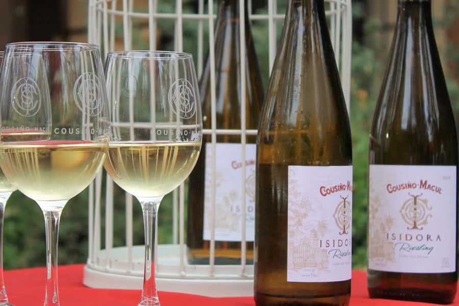Bahá'i Temple and Cousiño Macul Vineyard - Who Will Get the Most From This Tour