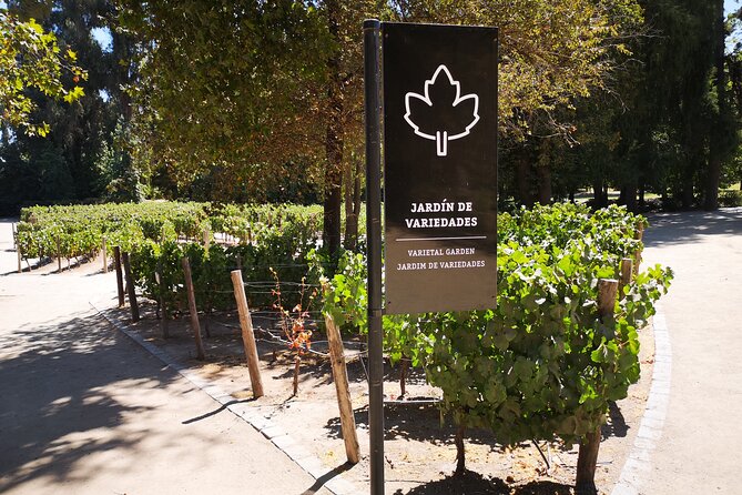 Bahá’í Temple, Winery & Tasting, Lapis Lazuli + Private Transport - Private Transport and the Daily Schedule