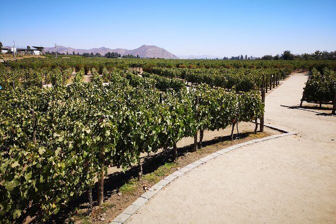 Bahá’í Temple, Winery & Tasting, Lapis Lazuli + Private Transport - The Bahá’í Temple and Its Andes Views