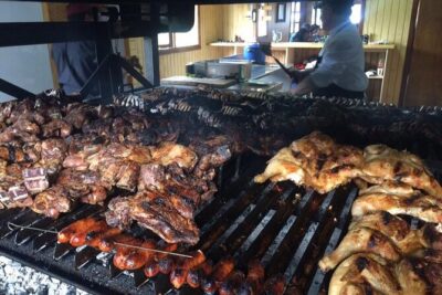 Balmaceda & Serrano Glaciers Boat Tour and traditional lunch.