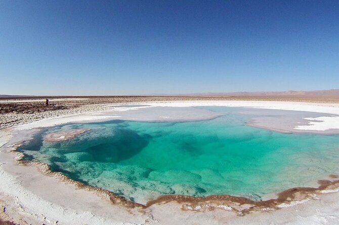 Baltinache Hidden Lagoons in Atacama - A closer look at the guide service