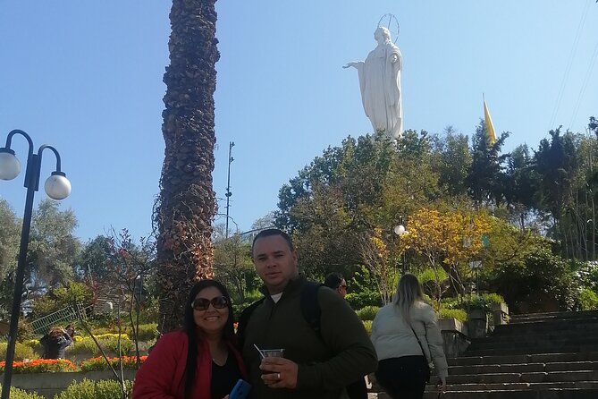 Best Citytour in Santiago, Chile 50%OFF - Bellavista, then the government quarter