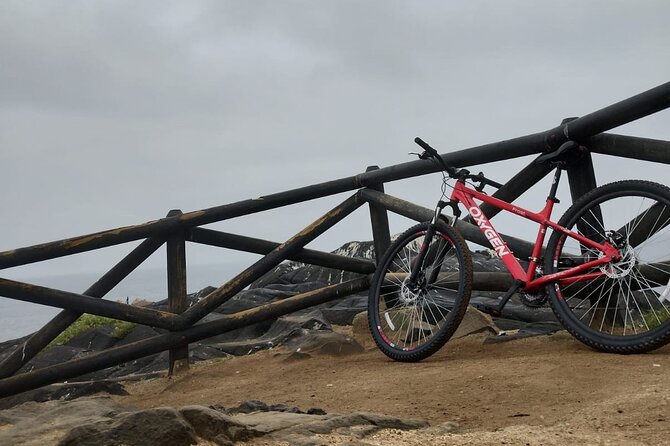 Bicycle ride along the coastal edge of Viña del Mar - Roca Oceánica, a Natural Break on the Coast