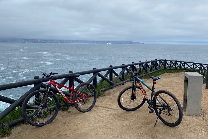Bicycle ride along the coastal edge of Viña del Mar - Bike Fit, Fitness, and Route Flexibility