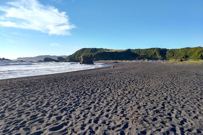 Biobío River Estuary and Rocoto Beach - Key points to know before you book