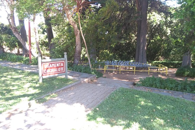 Biobío River Estuary and Rocoto Beach - A short walk to Rocoto Beach