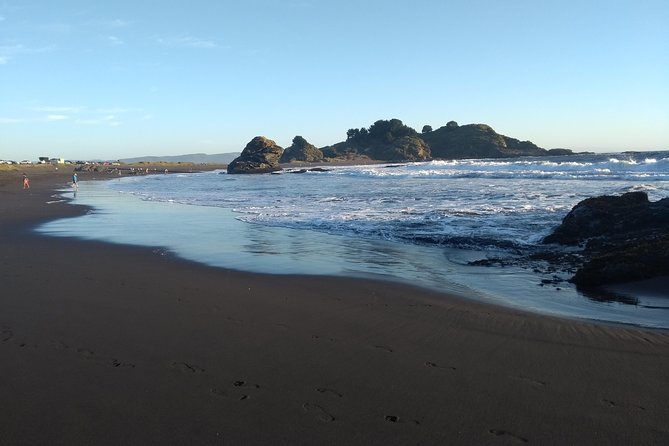 Biobío River Estuary and Rocoto Beach - Meeting at Catedral Metropolitana de la Santísima Concepción