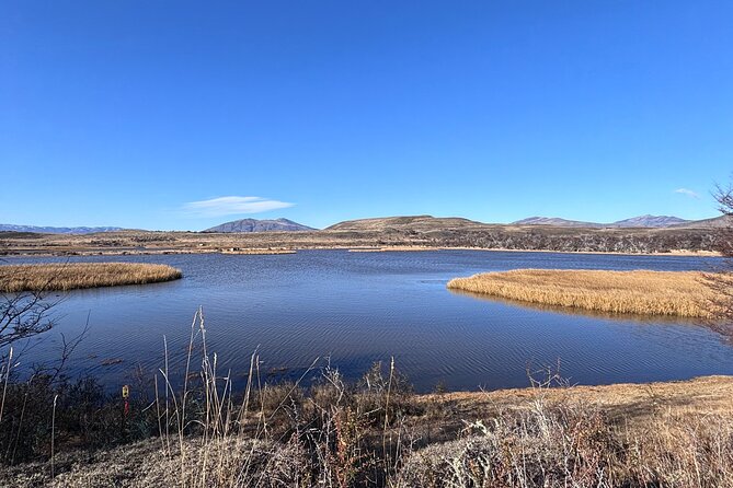 Bird Watching and Fauna in Chilean Patagonia Private Tour - Key points to know before you book