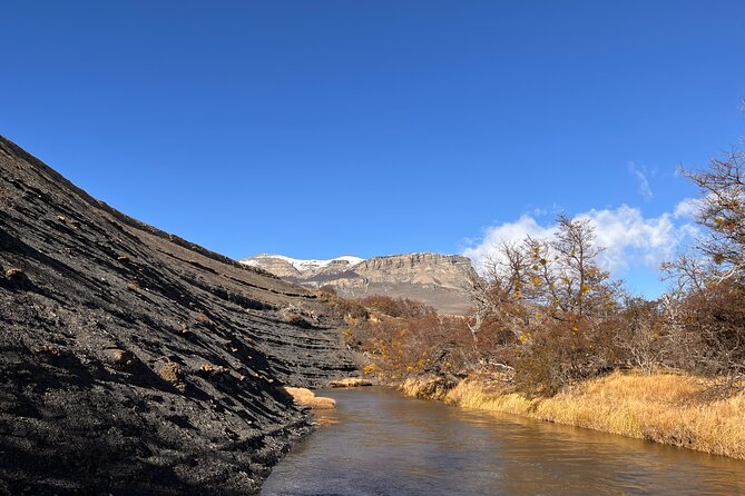 Bird Watching and Fauna in Chilean Patagonia Private Tour - A private Patagonia day built around patience