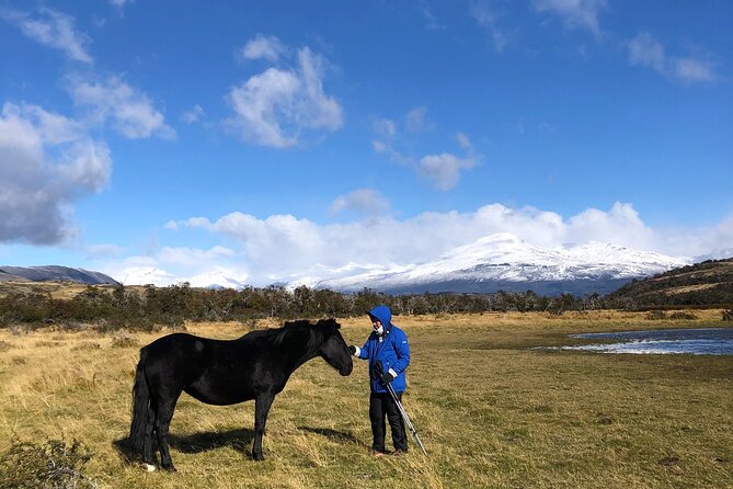 Bird Watching and Fauna in Chilean Patagonia Private Tour - The early pickup and the long road to Vega Castillo