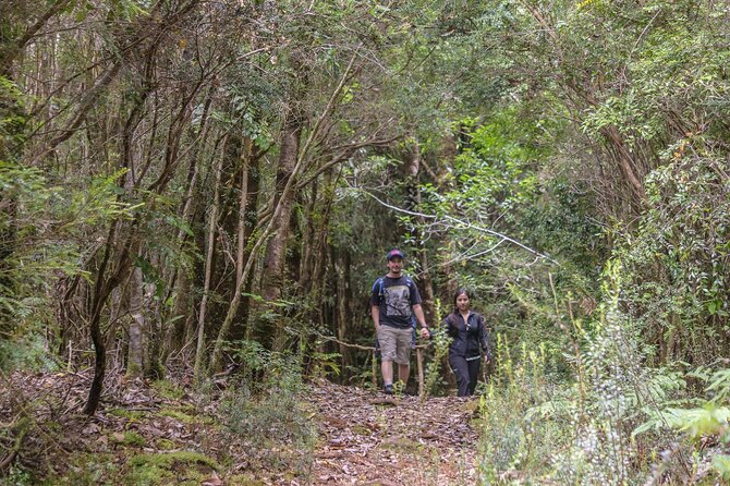 Bosque Piedra Reserve Tour - Entering the Bosque Piedra Reserve