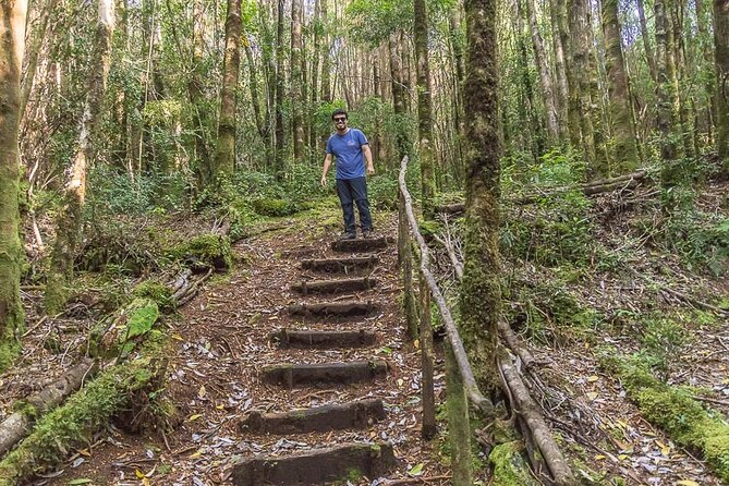 Bosque Piedra Reserve Tour - Watching for birds and the pudu