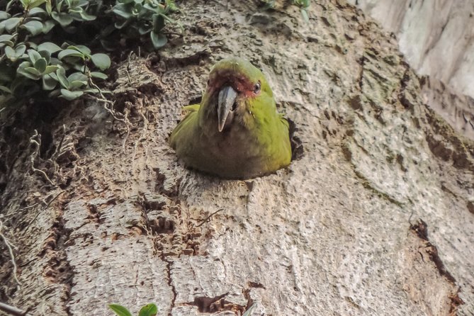 Bosque Piedra Reserve Tour - Cristian and the value of a good guide