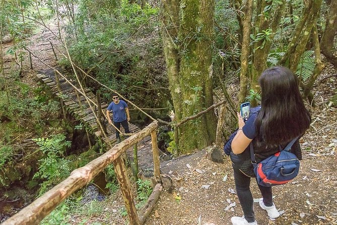 Bosque Piedra Reserve Tour - What is included in the $105.53 price