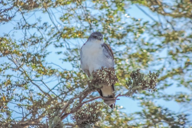 Bosque Piedra Reserve Tour - A note for cruise ship schedules