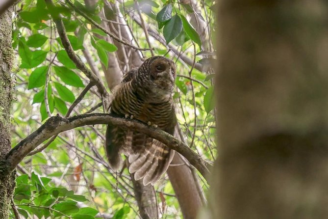 Bosque Piedra Reserve Tour - The 20-minute stop at Lake Huillinco