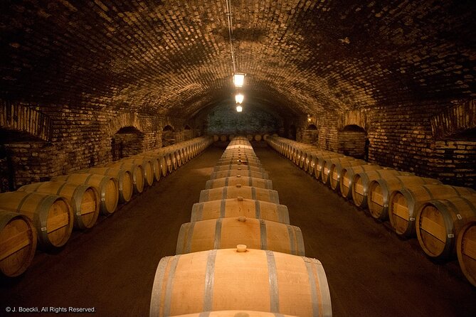 Cajon Del Maipo with Lunch and Visit to One Winery - San José de Maipo offers a slower, local pause