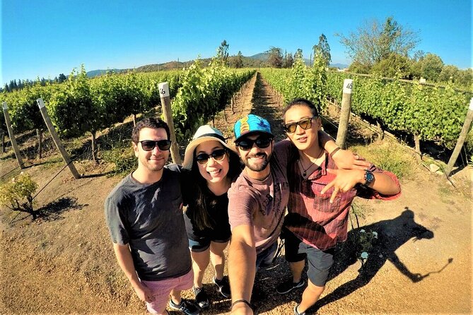 Cajon Del Maipo with Lunch and Visit to One Winery - From mountain roads to Maipo Valley wine