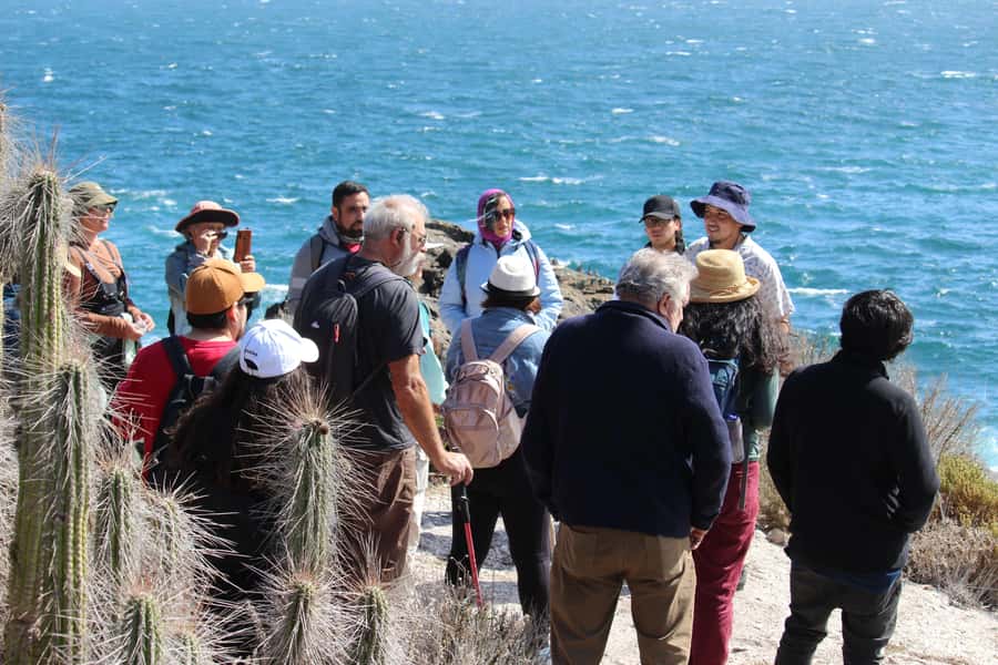 Caleta Los Hornos: Hiking archaeological sites - Why Caleta Los Hornos makes a good half-day trip