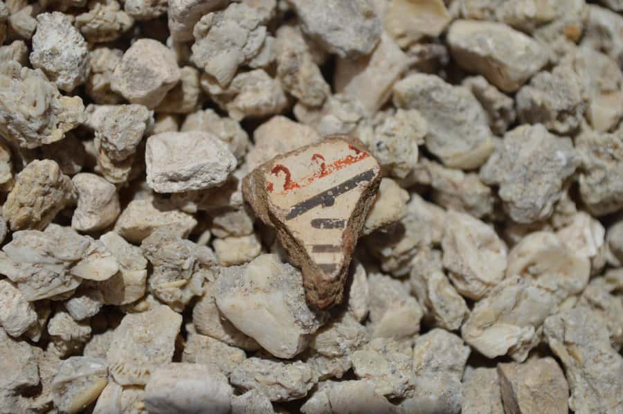 Caleta Los Hornos: Hiking archaeological sites - Walking through archaeological Caleta Los Hornos