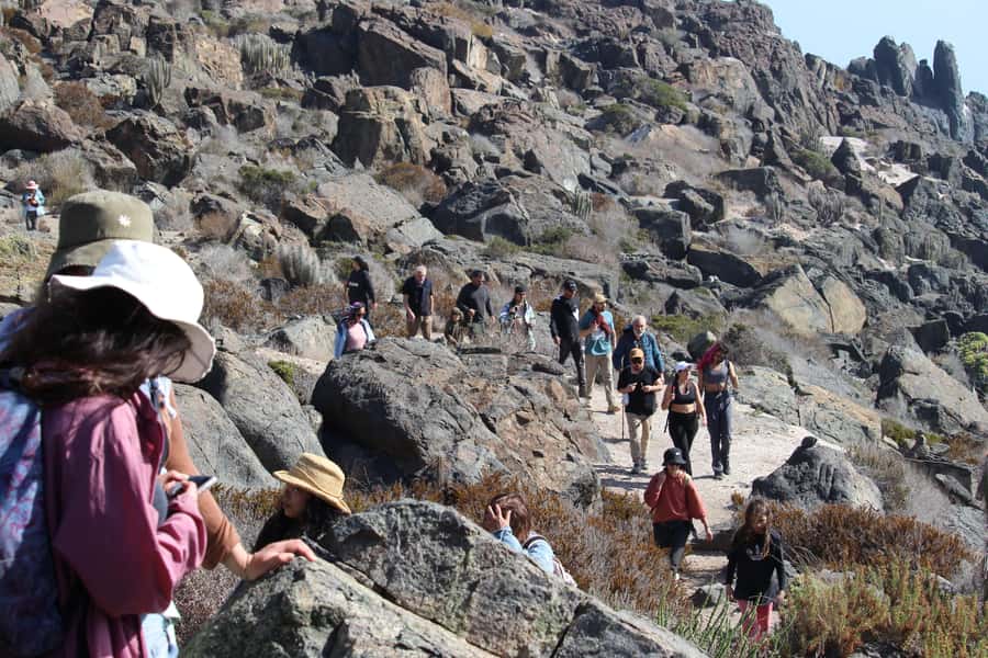 Caleta Los Hornos: Hiking archaeological sites - Lunch with local seafood after the walk