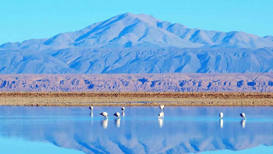 Caracoles: Red Stones of Atacama and Chaxa Guided Day Trip - Why this Atacama day trip is worth considering