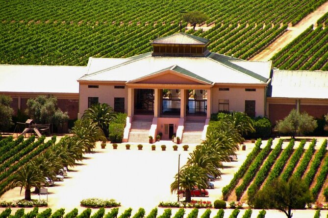 Carob, Vineyard Houses of the Forest and Museum Neruda Isla Negra - Who should book this experience?