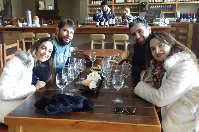 Casablanca Valley & Casa del Bosque - 3 Vineyards - Full day - What the $130 price really buys