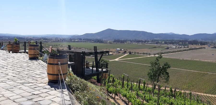 Casablanca Valley: Full-Day Private Wine Tour - Lunch with traditional Chilean food