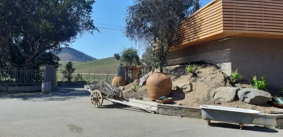 Casablanca Valley: Full-Day Private Wine Tour - What $310 per person really buys