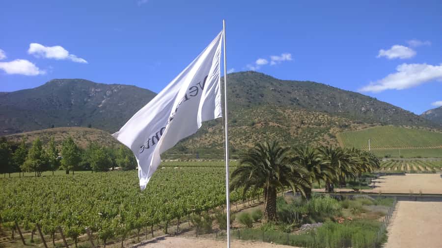 Casablanca Valley: Full-Day Private Wine Tour - Meeting a farmer in Curacavi Valley